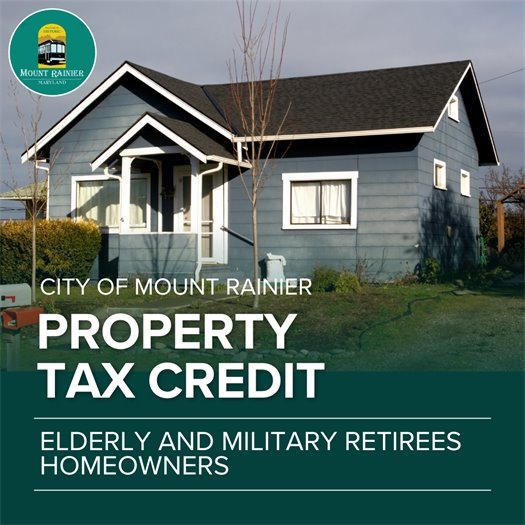 Property Tax Credit